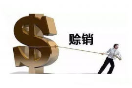 金昌如何避免债务纠纷？专业追讨公司教您应对之策